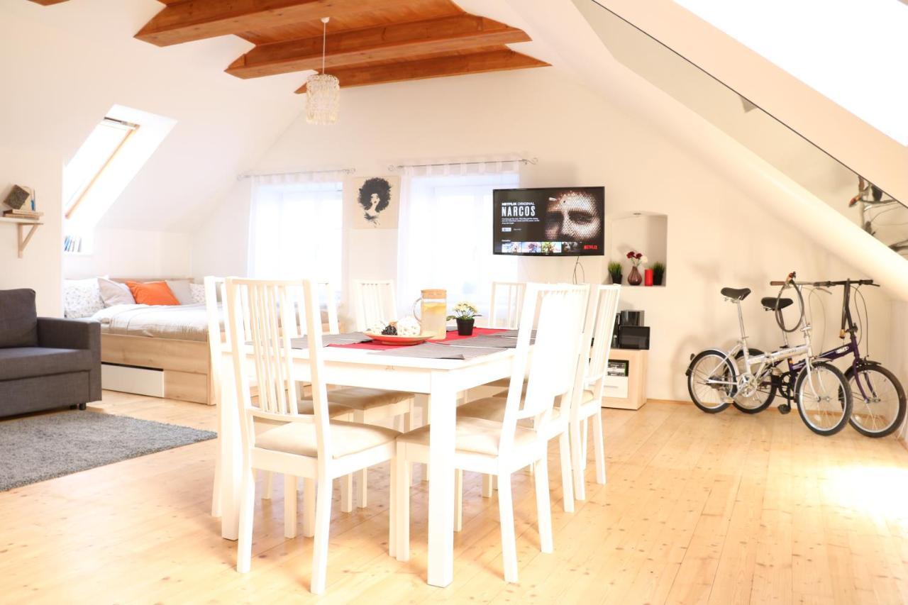 Old Town Charles Apartment Ceske Budejovice